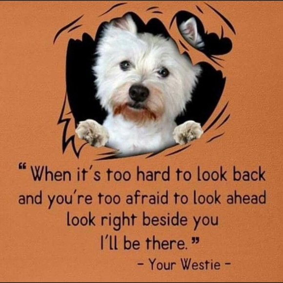 Meet your Posher, Ronda - Picture 2 of 3